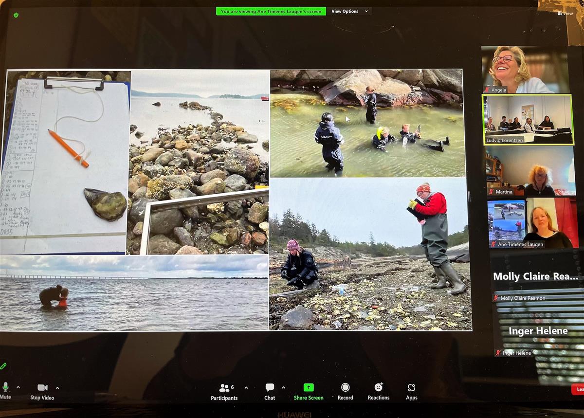 dataskjerm med bilder av innsamling av østers - Klikk for stort bilde