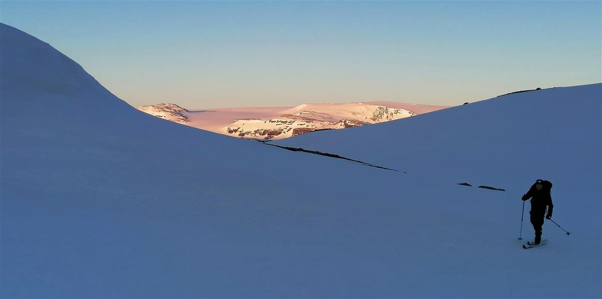 Mann på ski med Hardangerjøkulen i bakgrunnen - Klikk for stort bilde