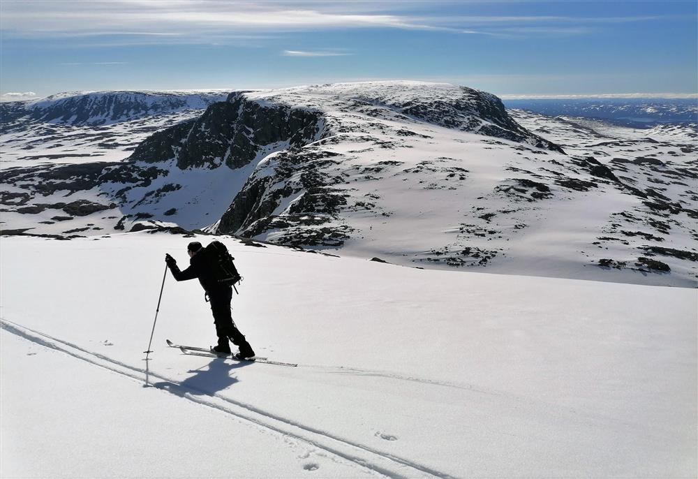 Skiløper i fjellet - Klikk for stort bilde